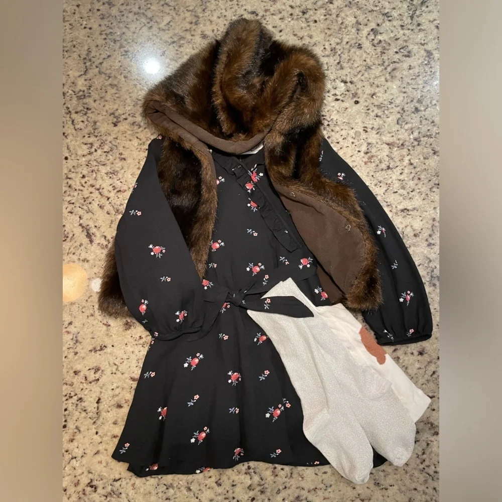 Toddler Gap dress and tights and lands end faux fur hooded vest 4T retail $132
